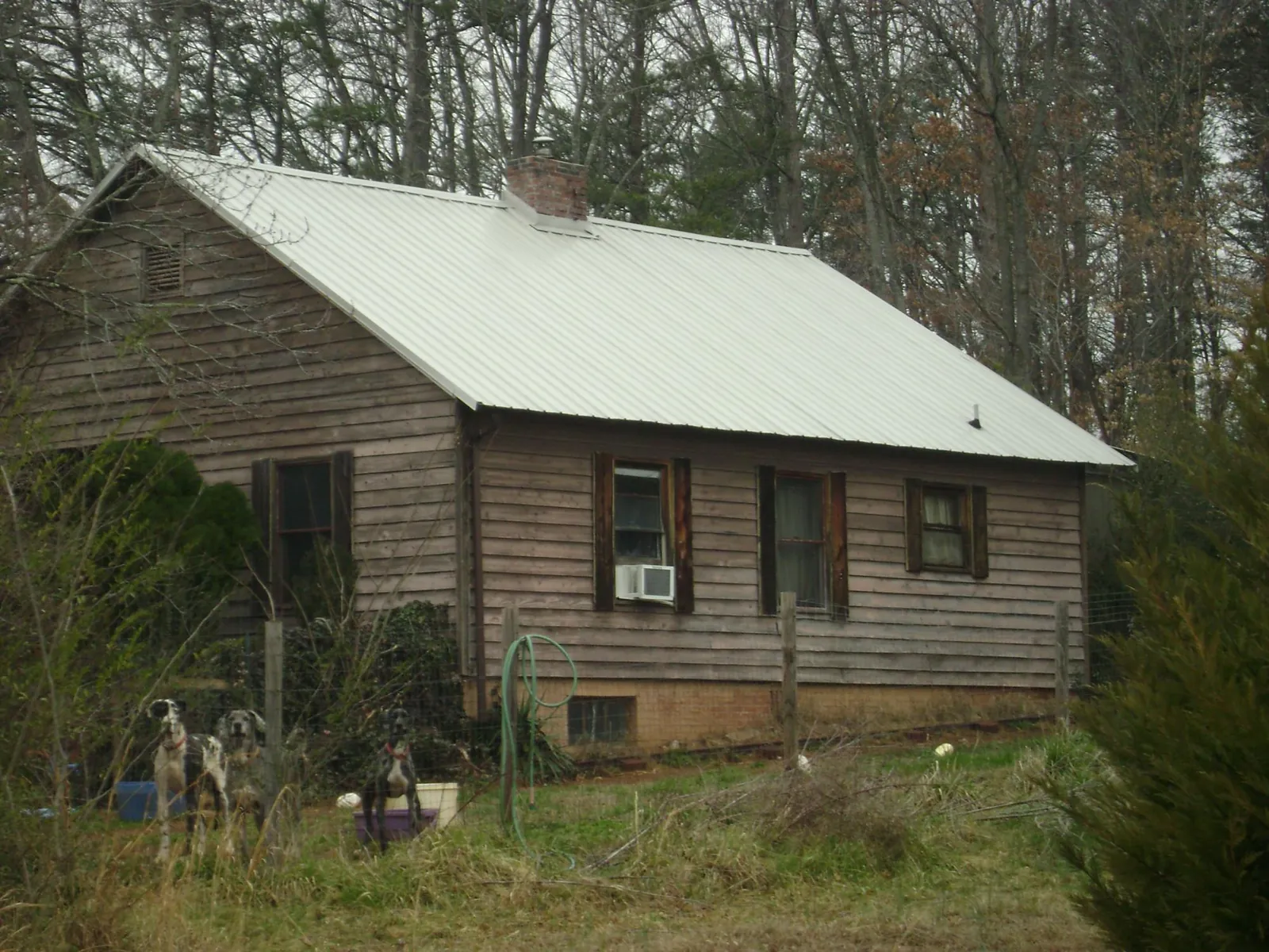 White metal roof on an old wood sided farmhouse, from a Asphalt Shingle Roof Repair job in Polo